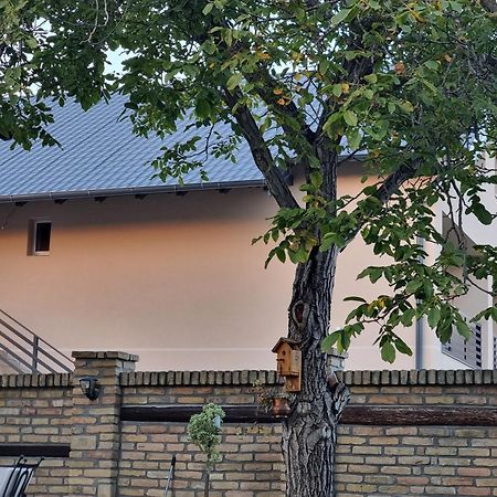 Apartmán Sobe Ava Palić Exteriér fotografie