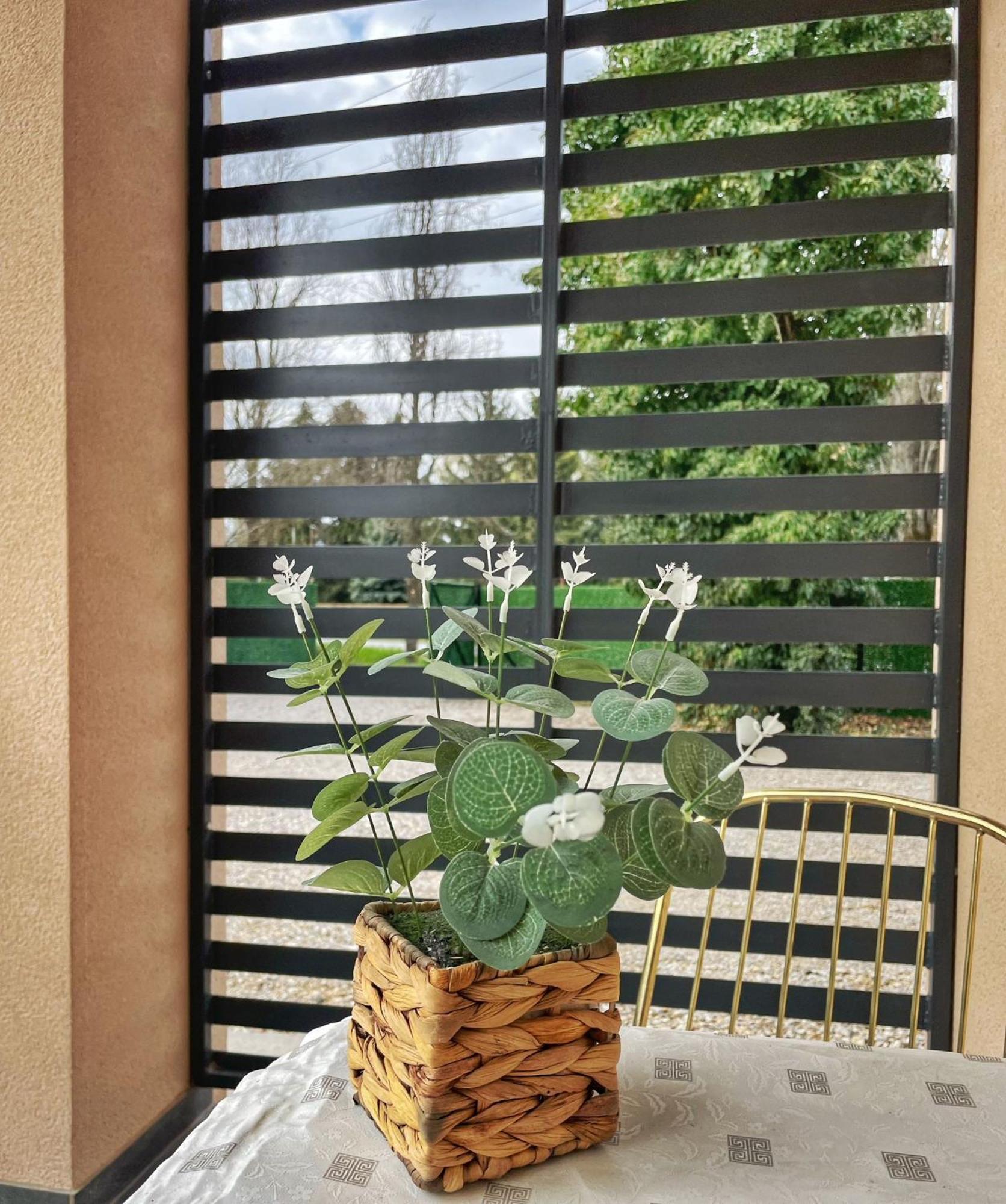 Apartmán Sobe Ava Palić Exteriér fotografie